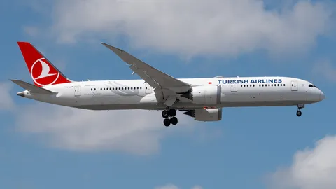 TC-LLM · Boeing 787-9 Dreamliner · LTFM