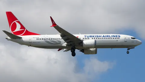 TC-LCA · Boeing 737 MAX 8 · LTFM