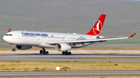 TC-JNI · Airbus A330-343 · ZMCK