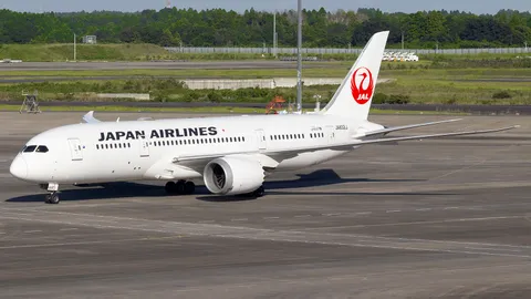JA832J · Boeing 787-8 Dreamliner · RJAA