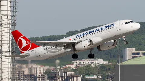 TC-EIA · Airbus A320-233 · LTFJ