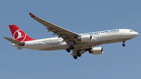 TC-JIP · Airbus A330-223 · LTFM